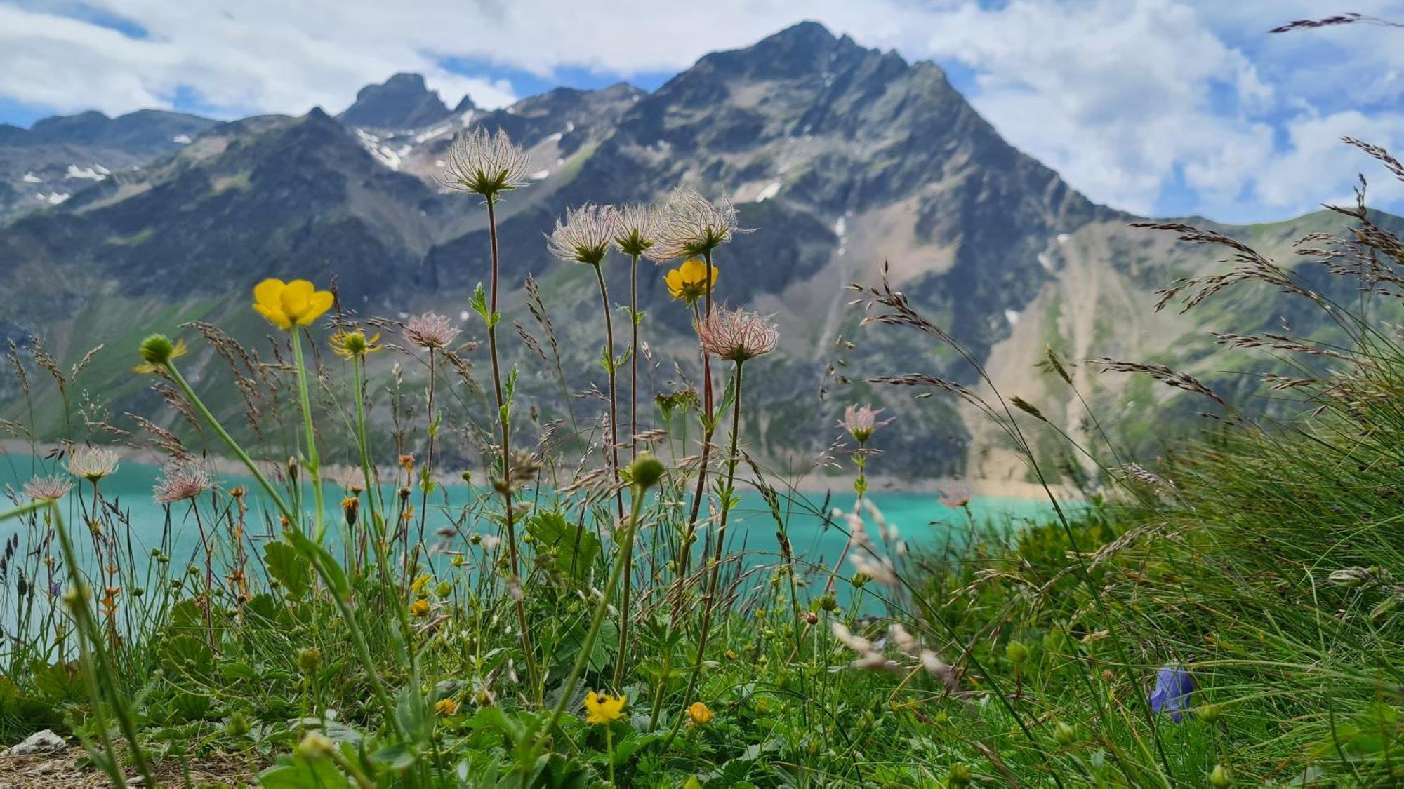 Gaestehaus Tyrol 2*