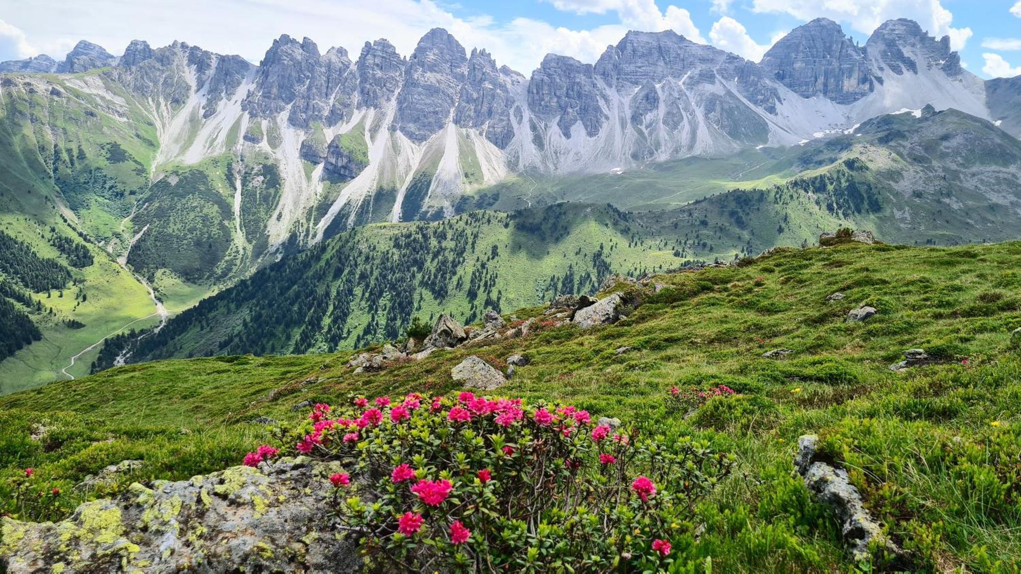 Maison d'hôtes Gaestehaus Tyrol