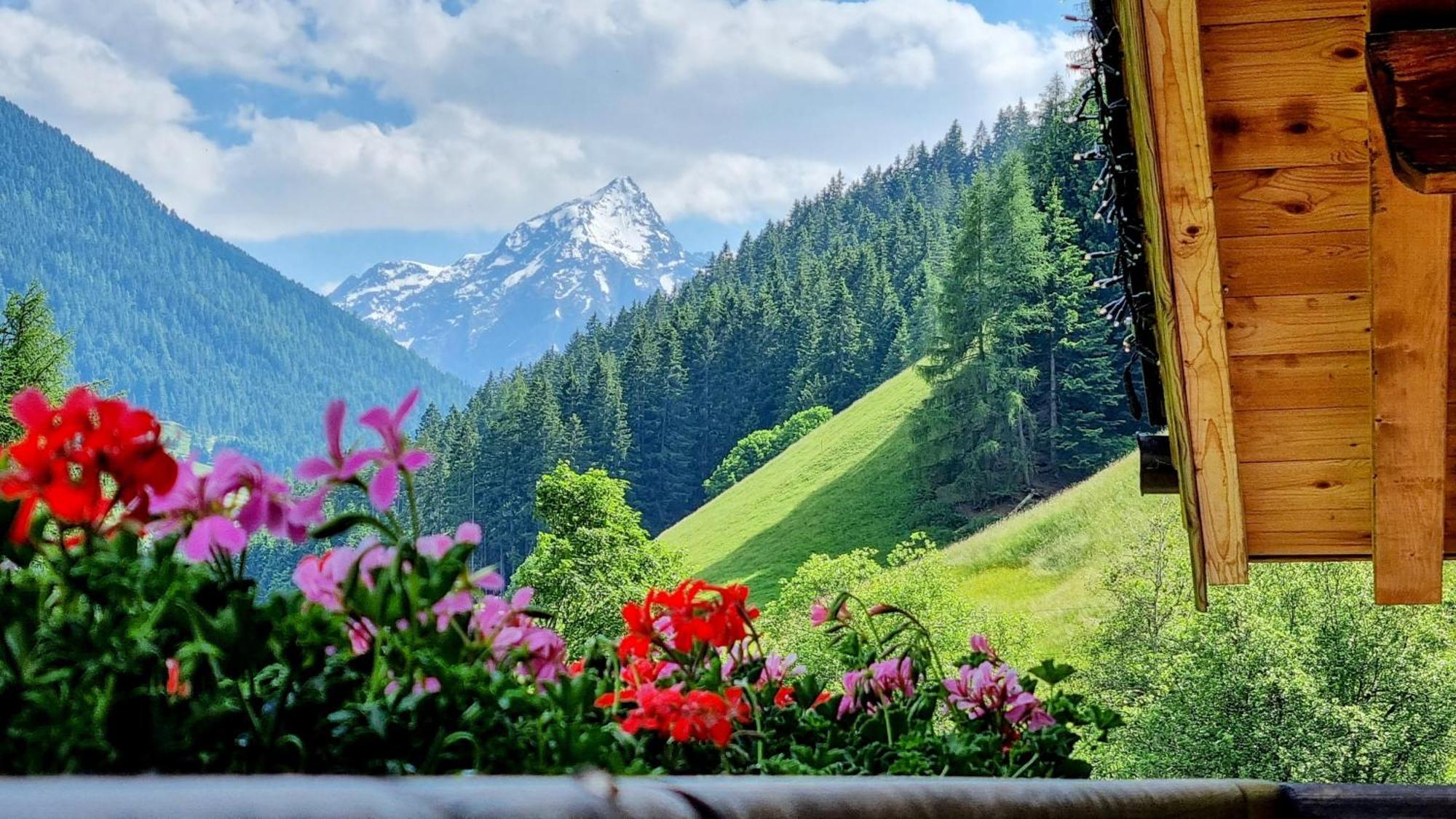 Maison d'hôtes Gaestehaus Tyrol