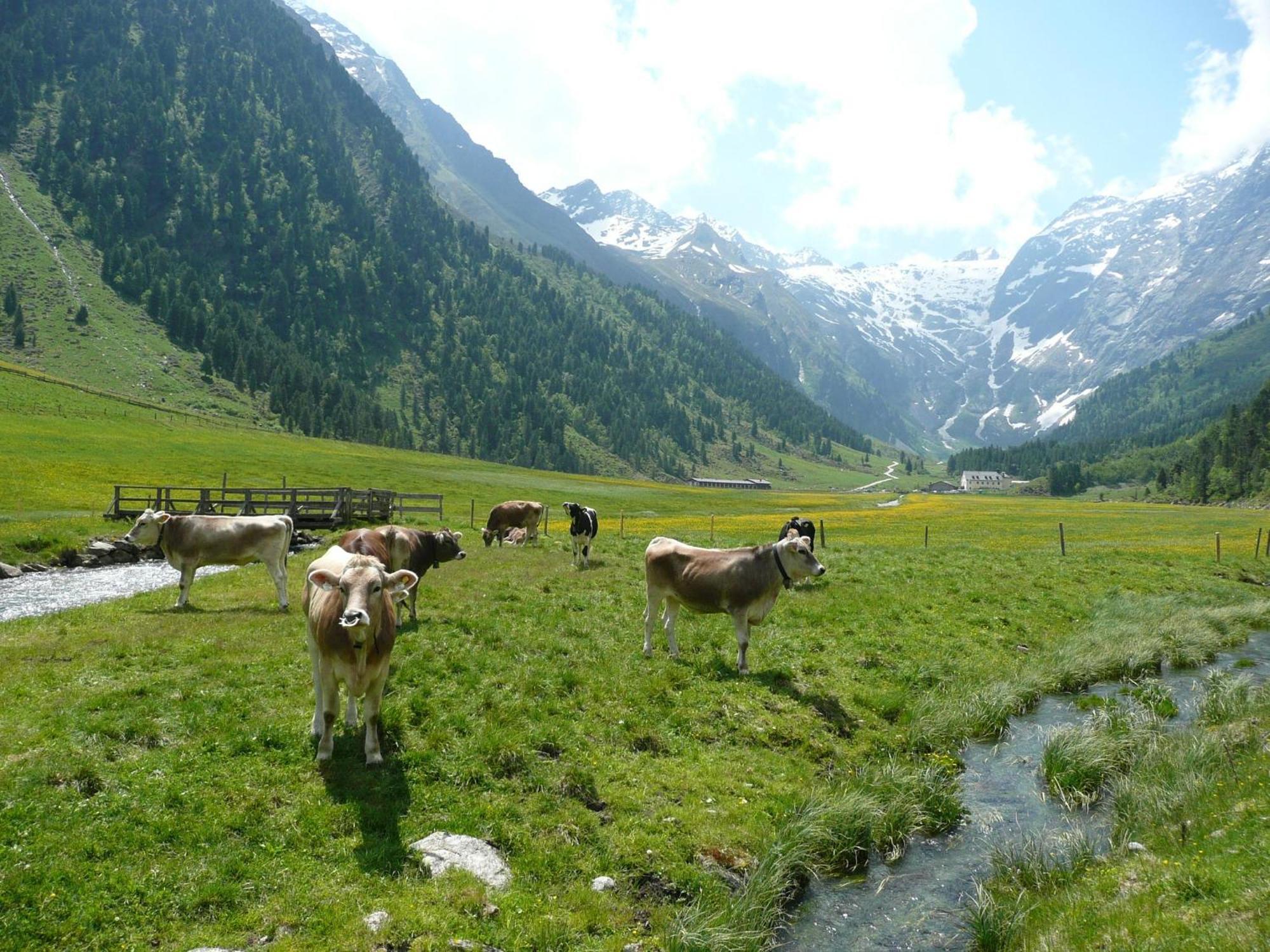 Gaestehaus Tyrol Gries im Sellrain